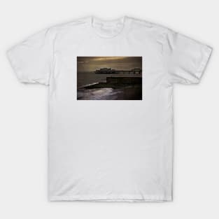 Fishing In Brighton T-Shirt